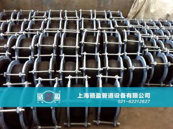 上海駱盈與山東壽光的合作項目