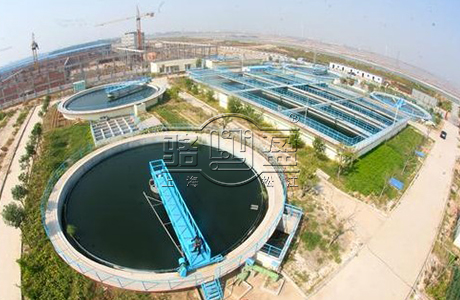 上海駱盈與山東壽光的合作項目